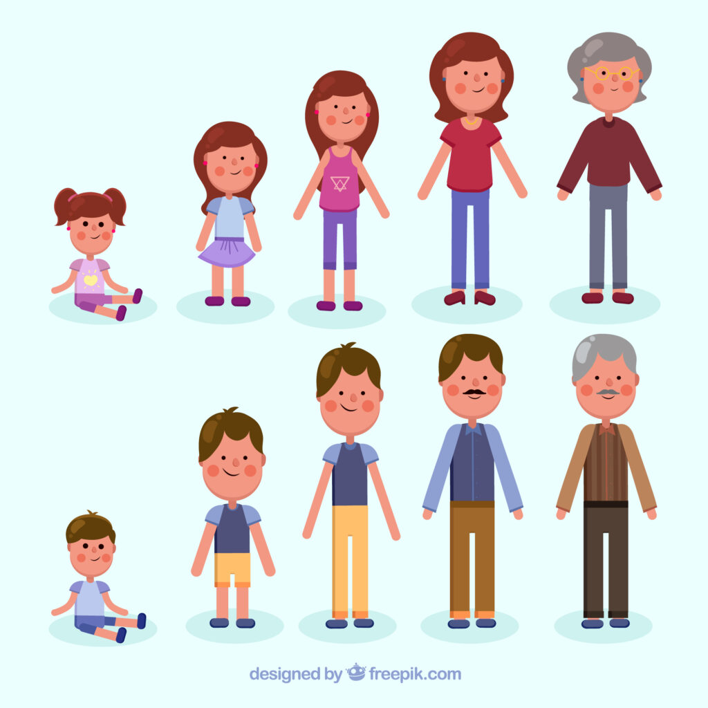 Ilustração com homens e mulheres nas seguintes fases da vida: bebê, criança, adolescência, fase adulta, e velhice